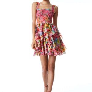 NWT Alice +Olivia Jocelyn Smocked Mini dress